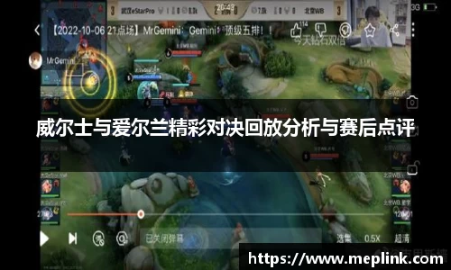 威尔士与爱尔兰精彩对决回放分析与赛后点评